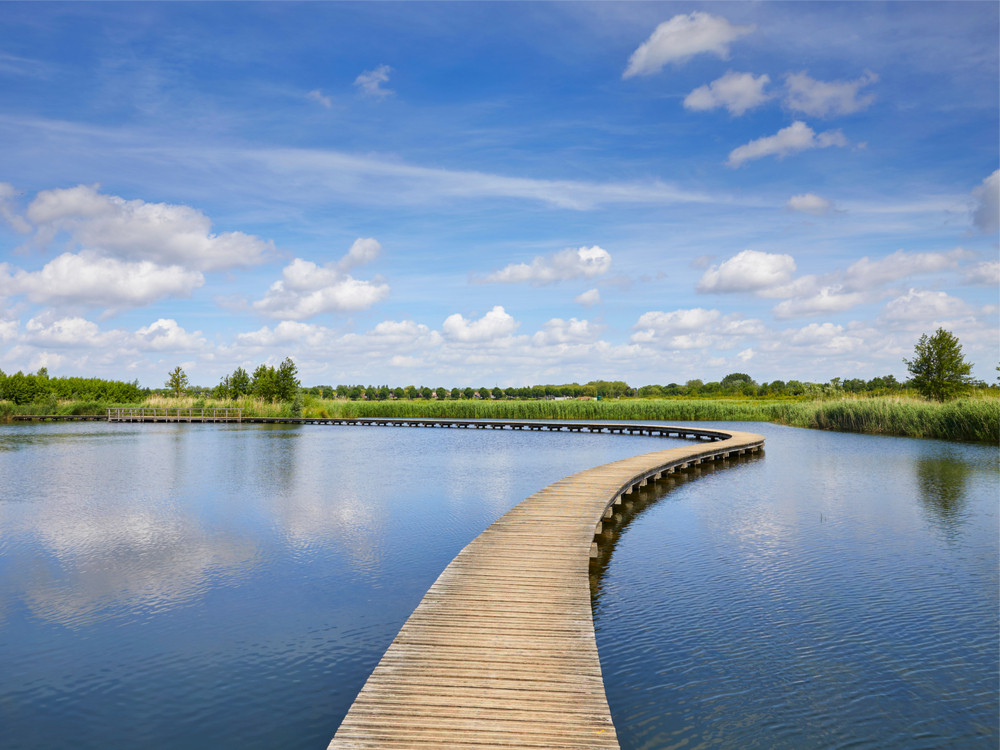 Zuidpolder