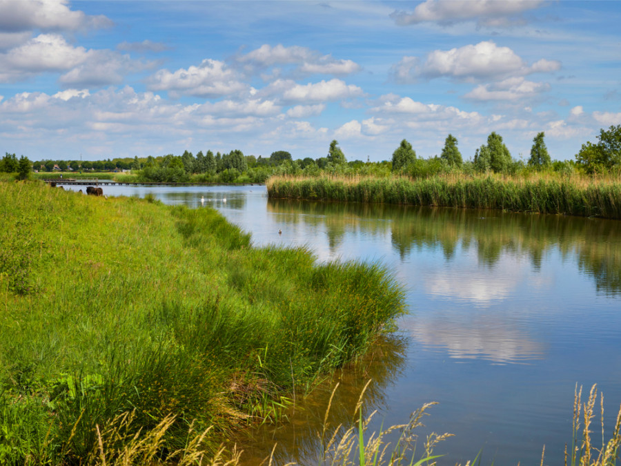 Zuidpolder bij Barendrecht