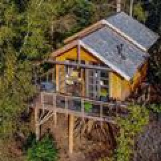 Afbeelding voor Natuurhuisje - Boomhut in Ruinen
