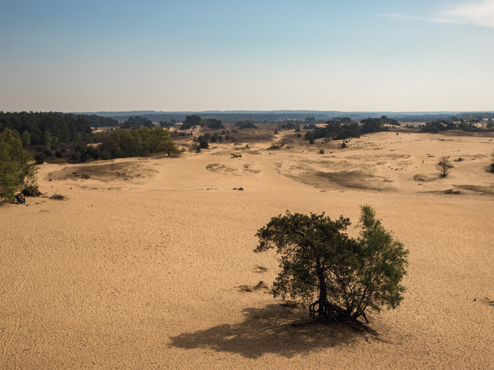 De leegte van het Kootwijkerzand