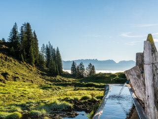 Afbeelding voor Saalfelden Leogang