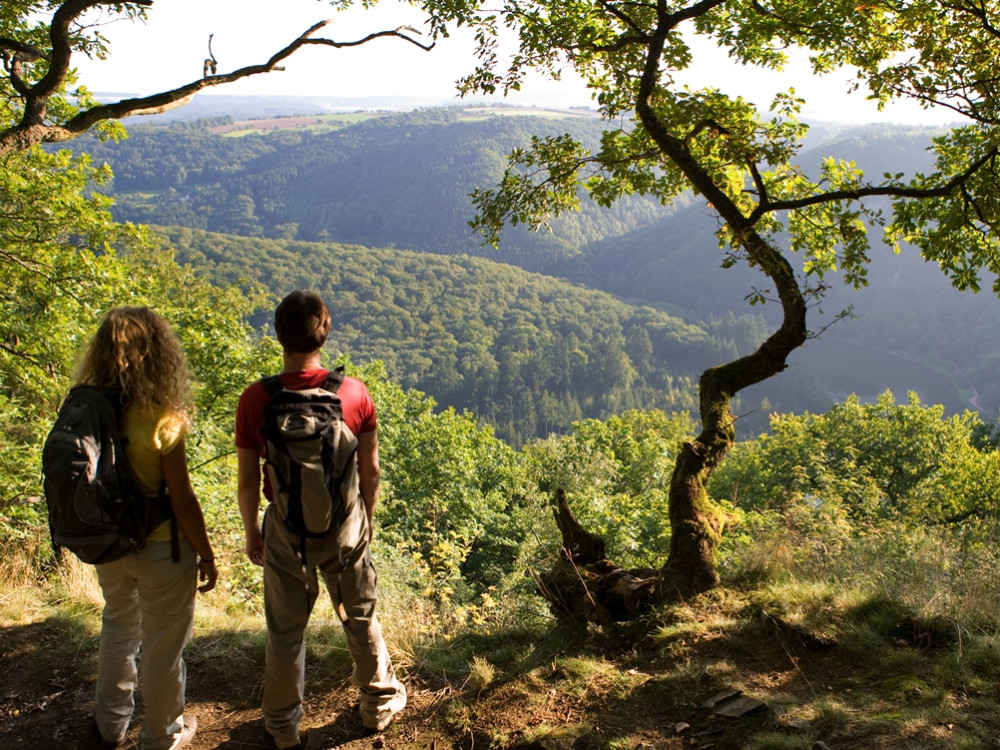 Genieten van natuur in Saarland