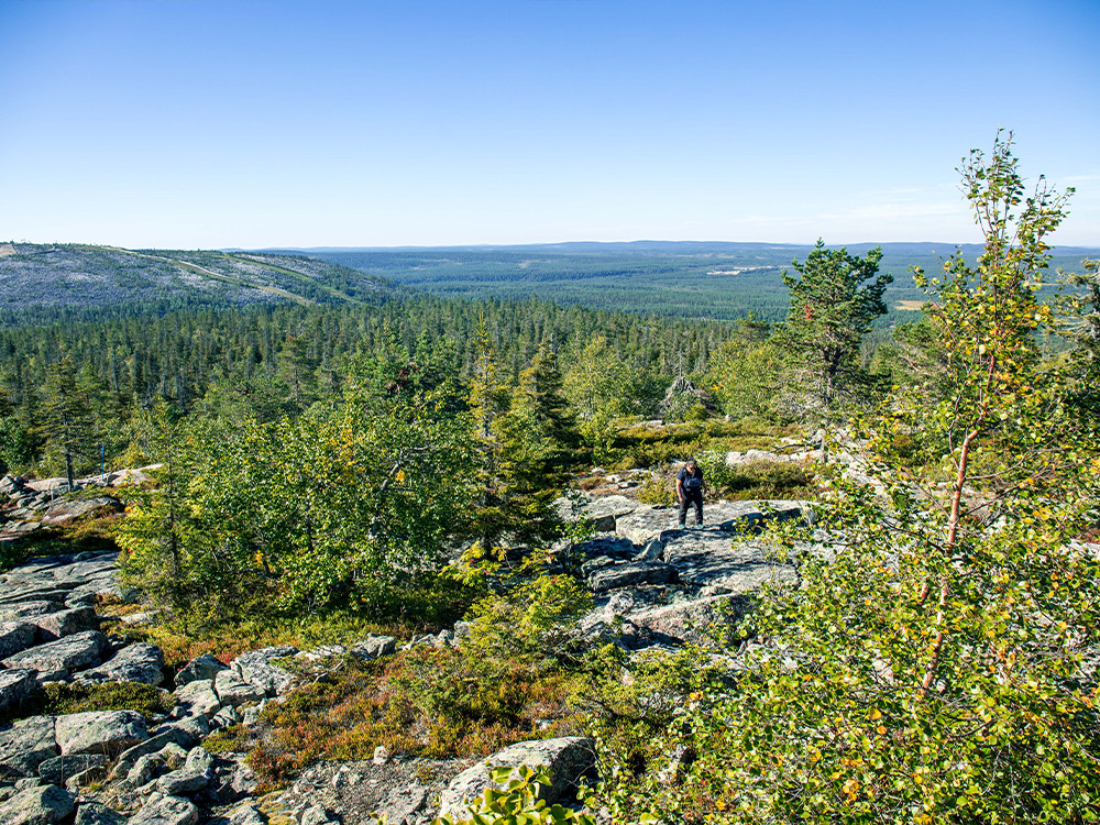 Natuur in Salla