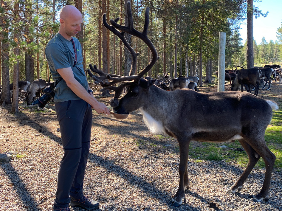 Rendieren in Salla