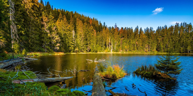 Afbeelding voor Rondreis Schwarzwald