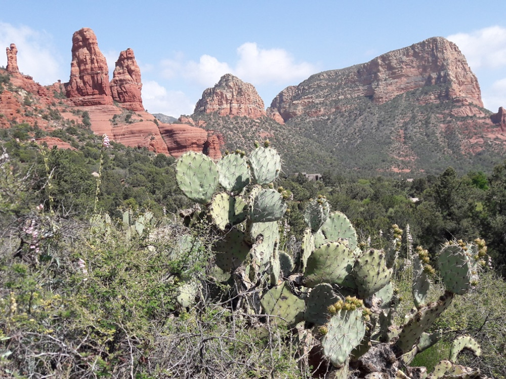 Red Rock state park