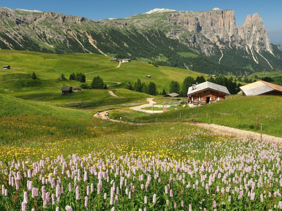 Seiser Alm Dolomieten Seiser Alm Dolomieten