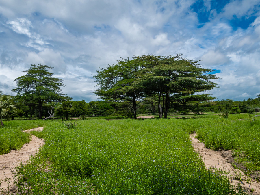 Selous Game Reserve