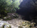 Grottenstelsel nabij de rivier Alviela