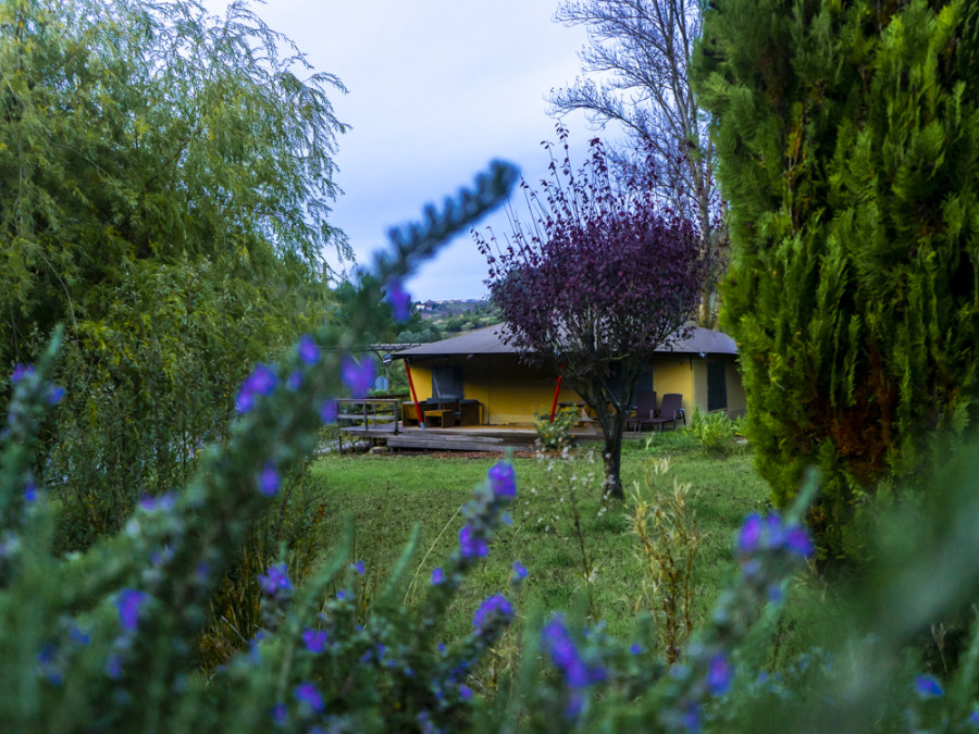 Glamping in Portugal bij Quinta Japonesa