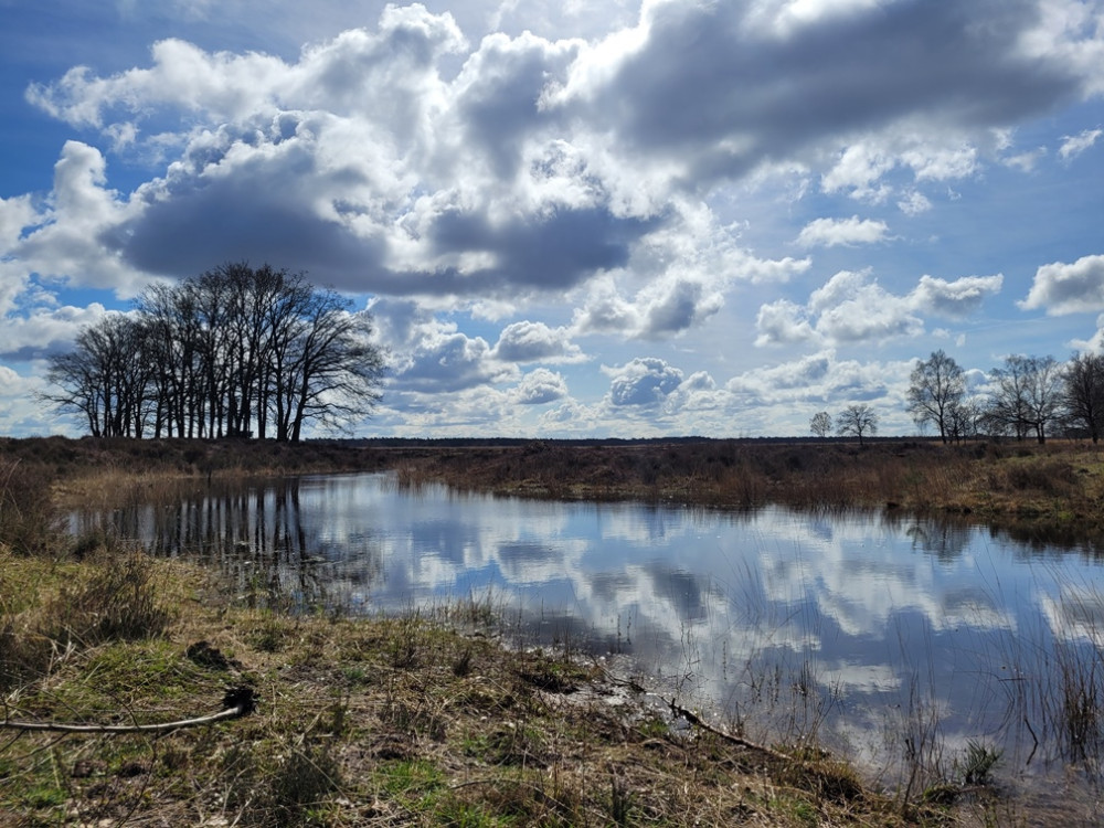 Stroese Heide