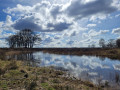 Stroese Heide