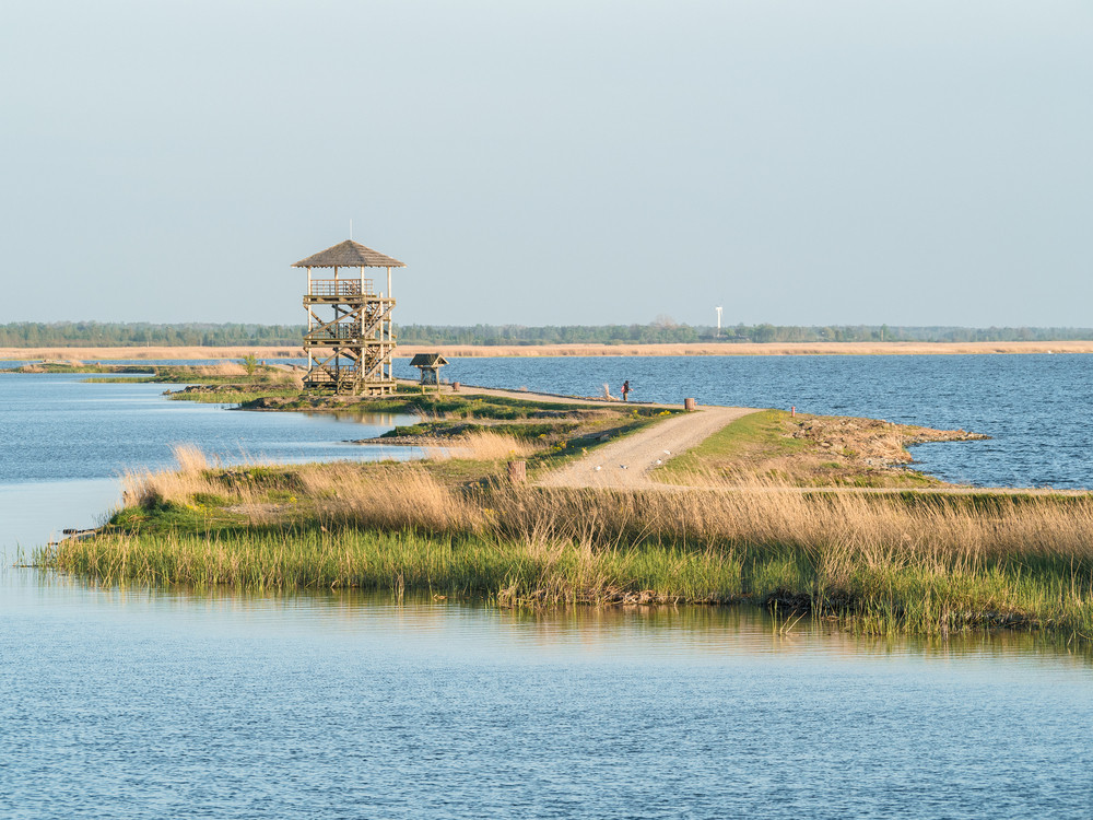 vogels observeren Letland