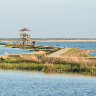 Afbeelding voor Vogels in Letland