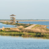 Afbeelding voor Vogels in Letland