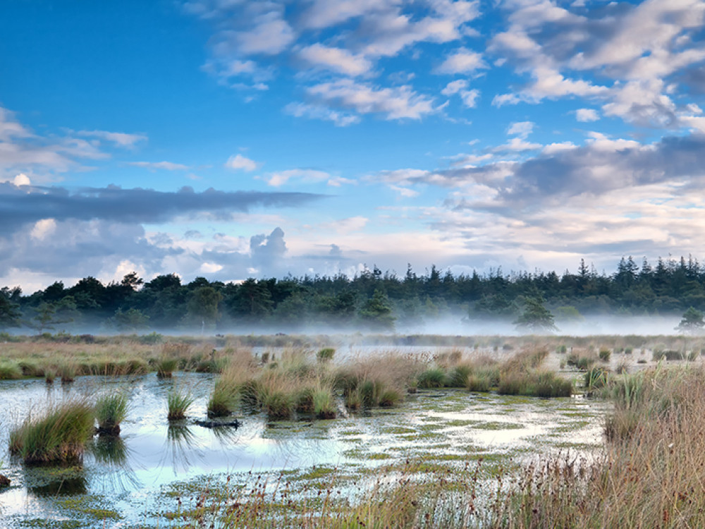 Mooiste plekken Drenthe