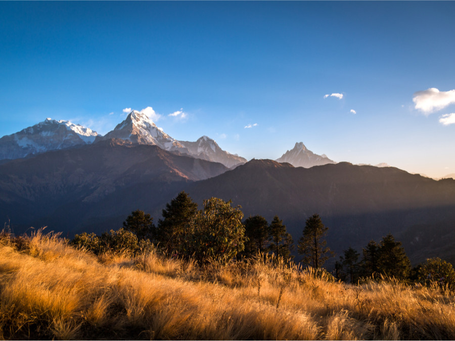 Poon Hill trekking