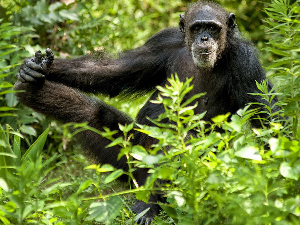 Sierra Leone