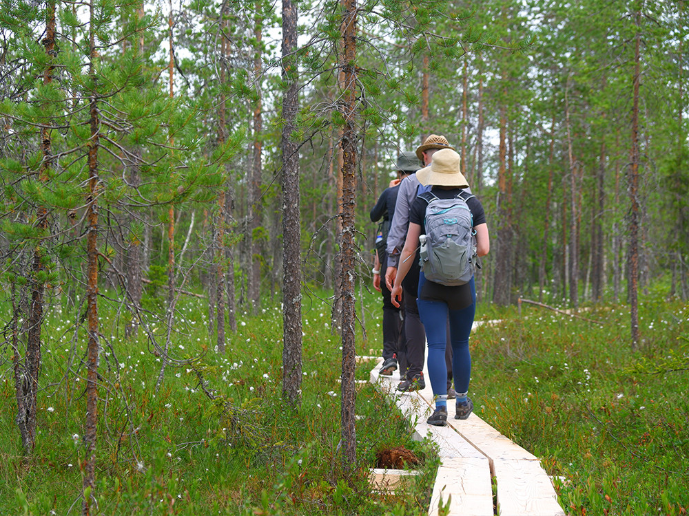 Wandelen met de Abisko Trekking Tights Pro W