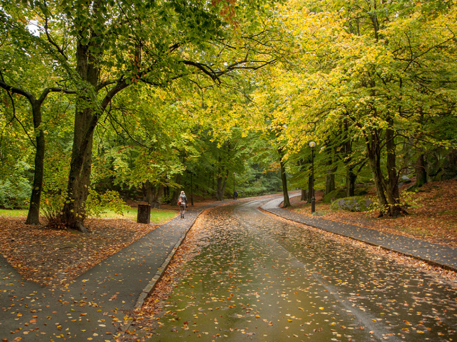 Parken in Goteborg