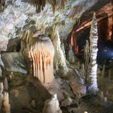 Afbeelding voor Grotten van Postojna