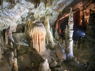 Afbeelding voor Grotten van Postojna