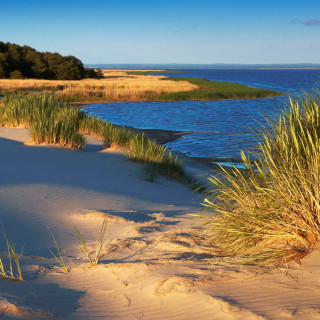 Afbeelding voor Slowinski National Park