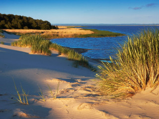 Afbeelding voor Slowinski National Park