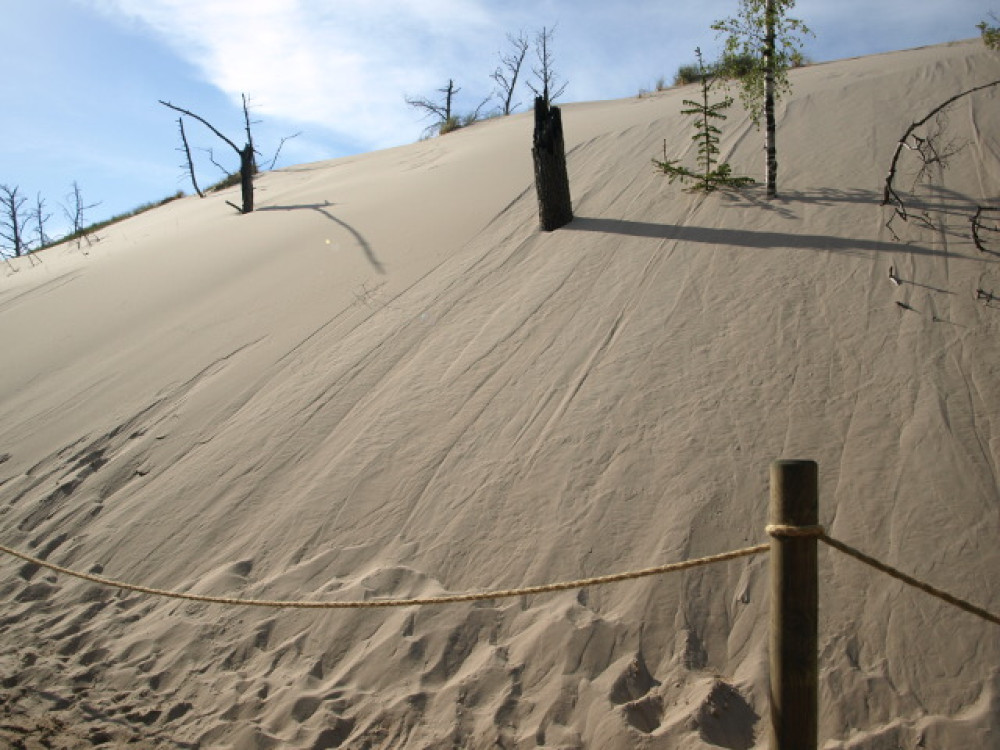 Duinen