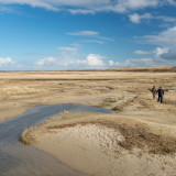 Afbeelding voor Wandelen op Texel