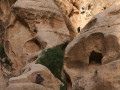 Geitenhoeder Petra