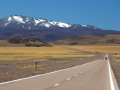 Noord-Argentinië roadtrip