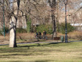 Fietsen in het park