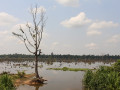 Natuur Cambodja