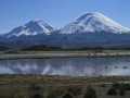 Parinacota vulkaan