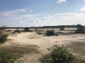 Zandvlakte Hulshorsterzand