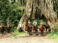 Paardrijden in Arusha