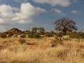 Landschap Mapungubwe