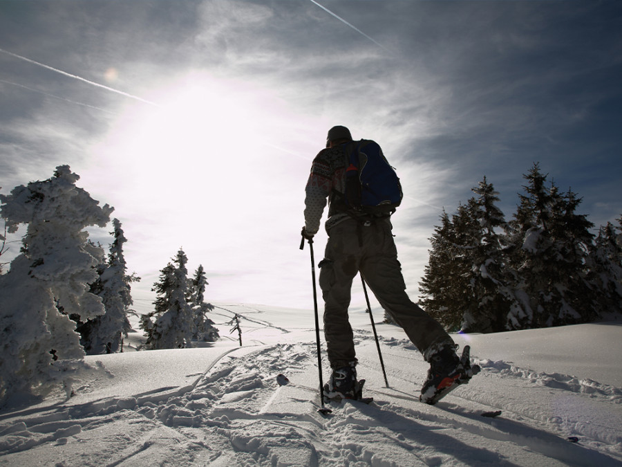 Sneeuwschoenwandelen Harz