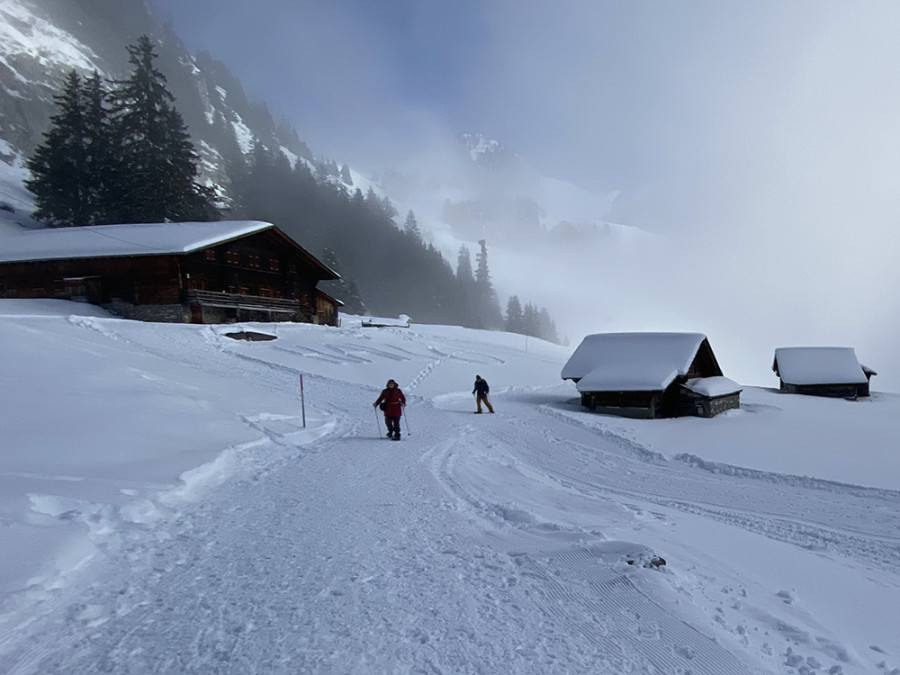 Sneeuwschoenwandelen bij Interlaken Sneeuwschoenwandelen bij Interlaken