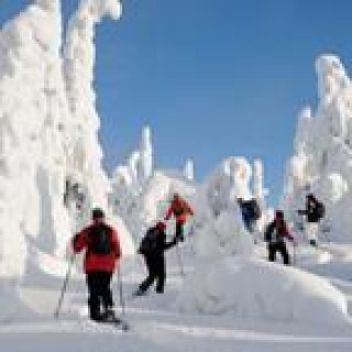 Afbeelding voor SNP - Sneeuwwandelreizen