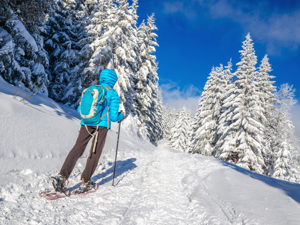 Sneeuwwandelen