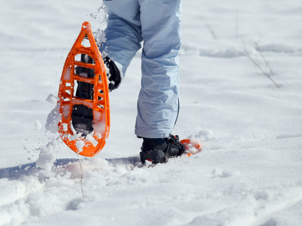 Sneeuwwandelen in Europa