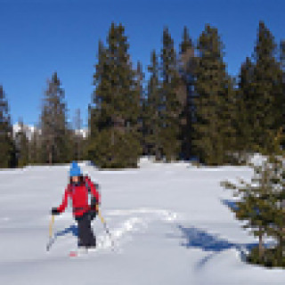 Afbeelding voor SNP - Winterreis Oost-Tirol