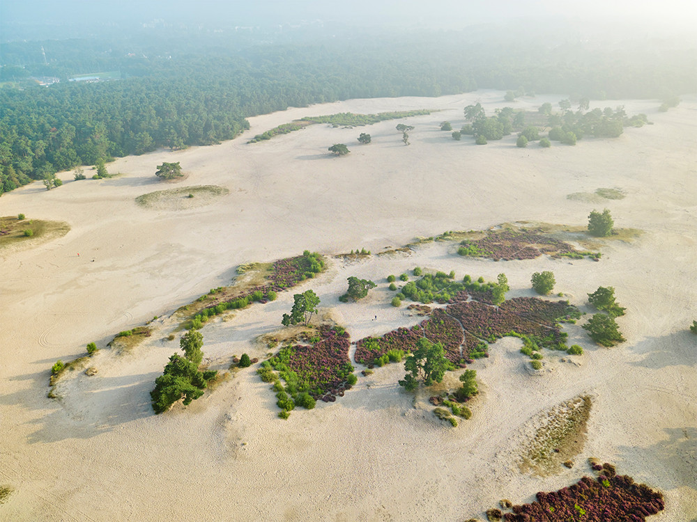 Soesterduinen drone