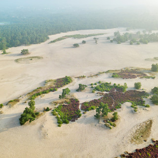 Afbeelding voor Soesterduinen