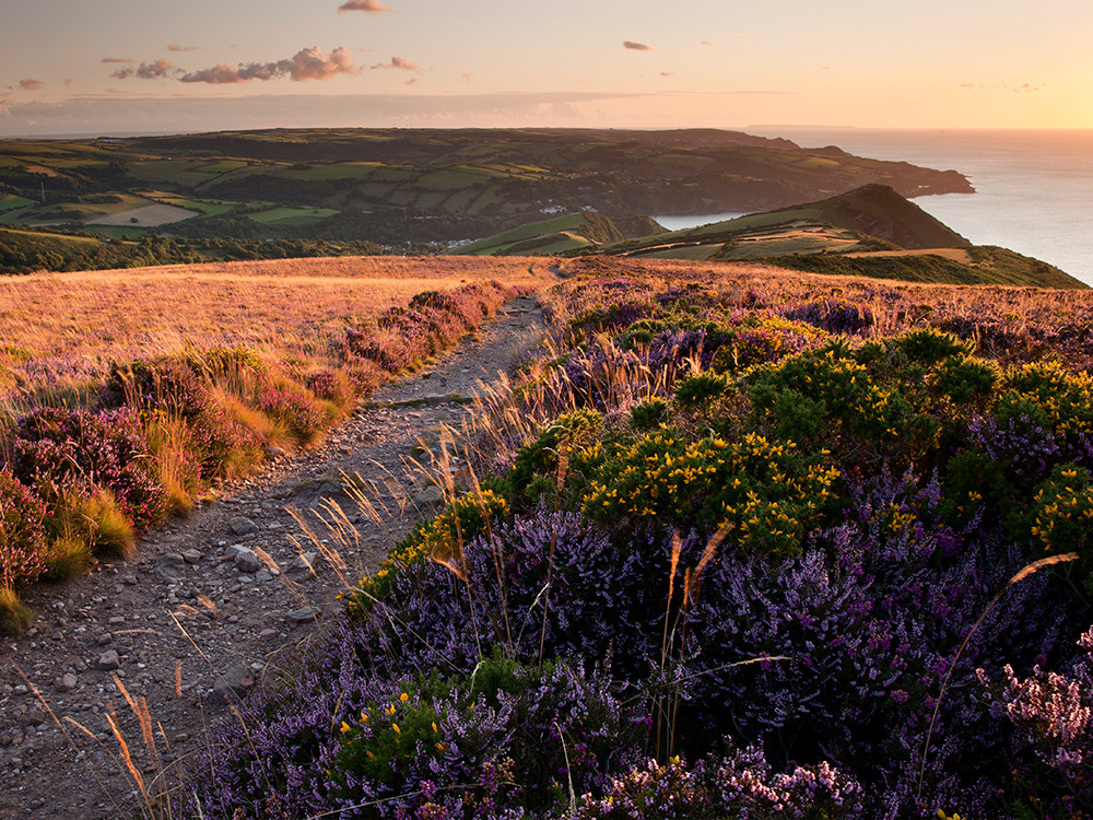 Wandelpad South West Coast Path