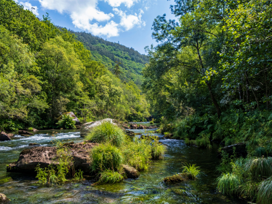 Natuurreis Spanje