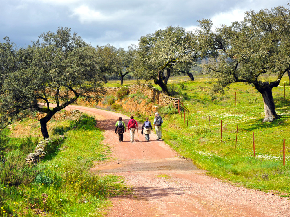 Wandelen Sierra de Aracena