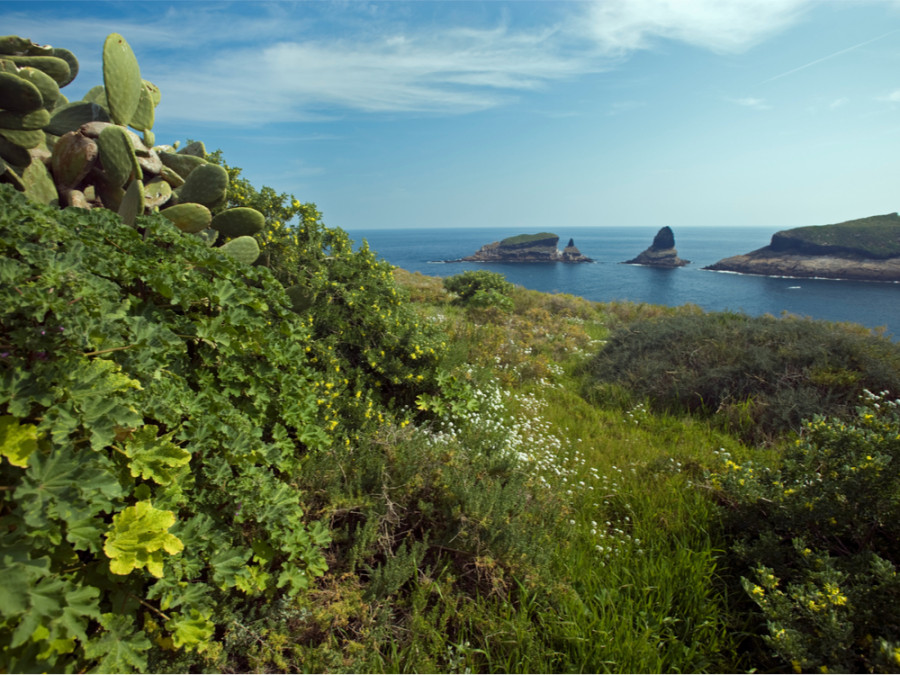 Islas Columbretes